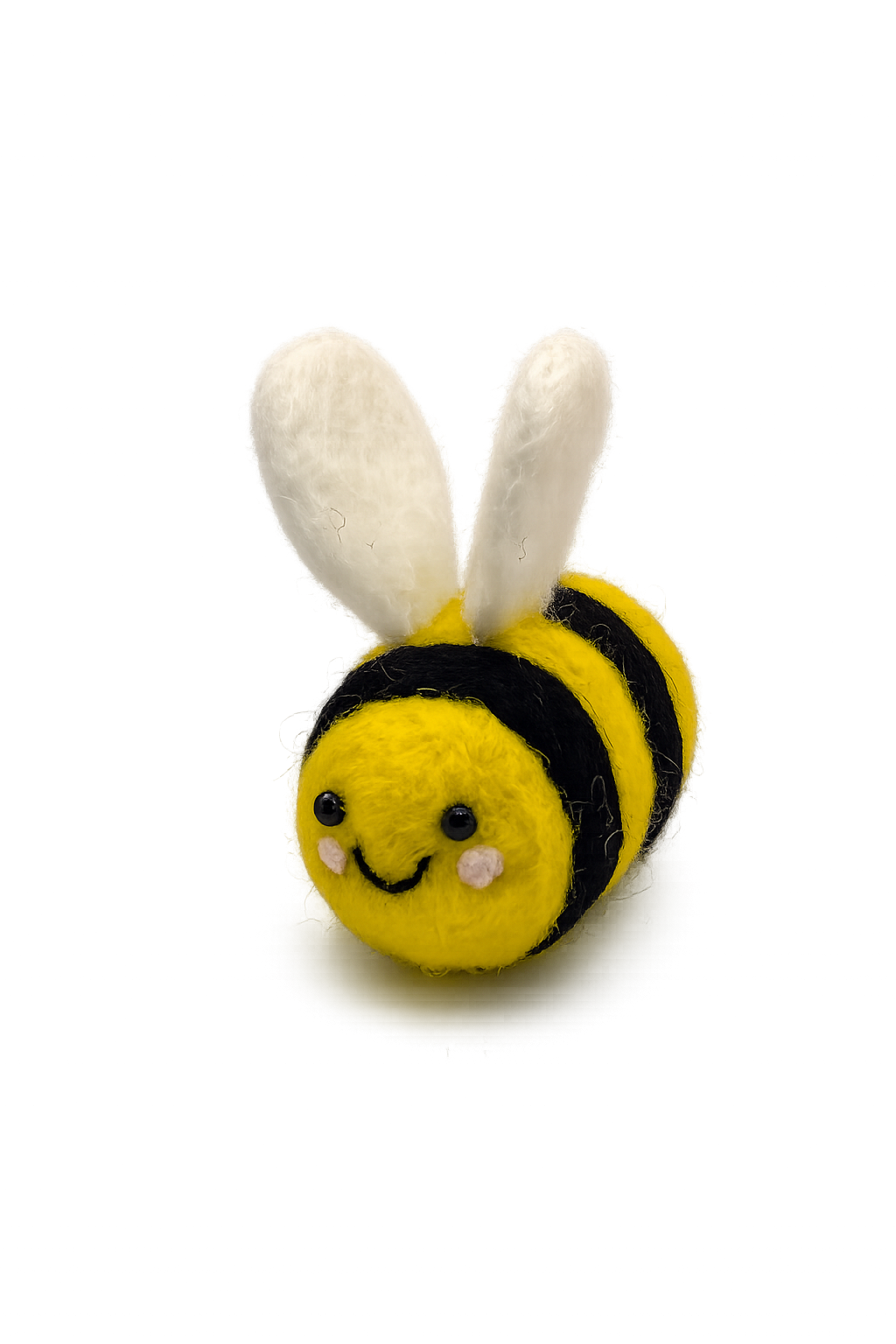 Women’s Health Community Project