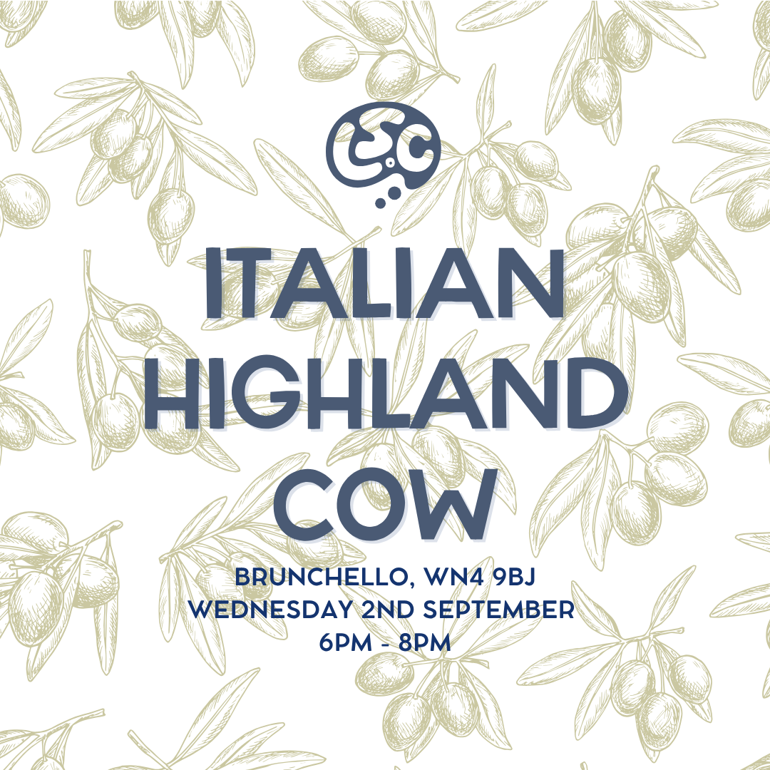 Italian Highland Cow