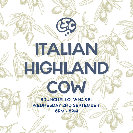 Italian Highland Cow